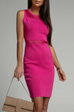 Celebrities Elegant Solid Hollowed Out O Neck One Step Skirt Dresses(3 Colors)